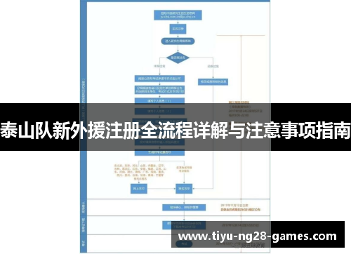 泰山队新外援注册全流程详解与注意事项指南