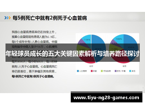 年轻球员成长的五大关键因素解析与培养路径探讨