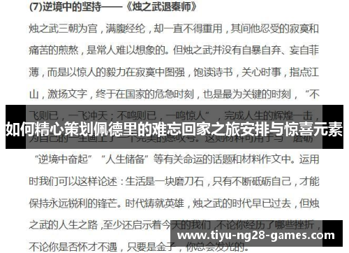 如何精心策划佩德里的难忘回家之旅安排与惊喜元素