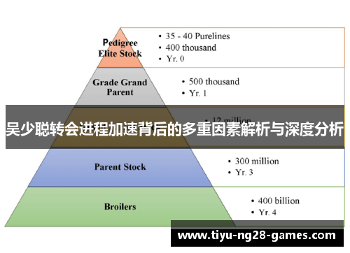 吴少聪转会进程加速背后的多重因素解析与深度分析