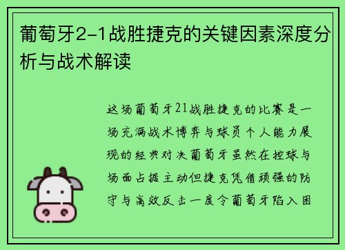 葡萄牙2-1战胜捷克的关键因素深度分析与战术解读