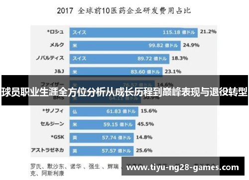 球员职业生涯全方位分析从成长历程到巅峰表现与退役转型 球员职业生涯全方位分析从成长历程到巅峰表现与退役转型