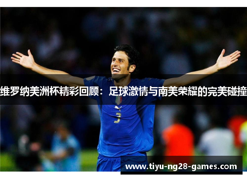 维罗纳美洲杯精彩回顾：足球激情与南美荣耀的完美碰撞