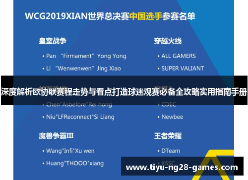 深度解析欧协联赛程走势与看点打造球迷观赛必备全攻略实用指南手册